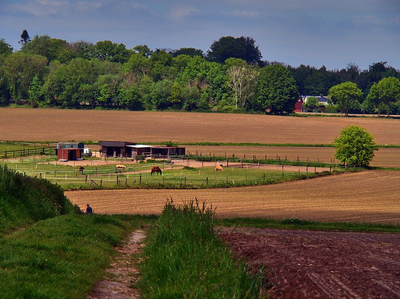 Ferme équestre par Edgar Schermaul