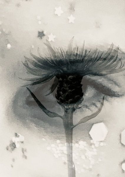 Flower Eye van Anke Helmich