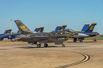 U.S. Air Force F-16 Viper Demonstration Team.