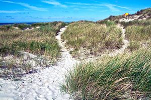 Fantastische Sanddüne auf Jütland in Dänemark 