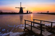 Solarwind van Sake van Pelt thumbnail