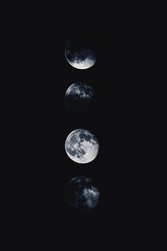 Dark Moon Quartet