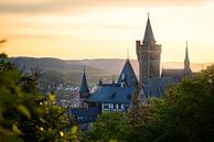 Schloss Wernigerode im Abendlicht von Oliver Henze Miniaturansicht