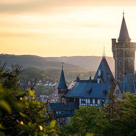 Schloss Wernigerode im Abendlicht von Oliver Henze