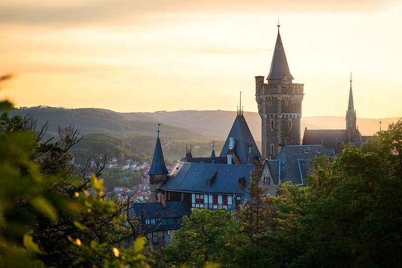 Schloss Wernigerode im Abendlicht von Oliver Henze