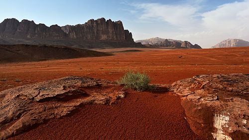Ambiance du soir dans l'immensité du Wadi Rum sur Oliver Lahrem