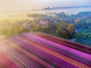 Tulpenvelden met mist en pittoresk dorpje van Koen van Barneveld