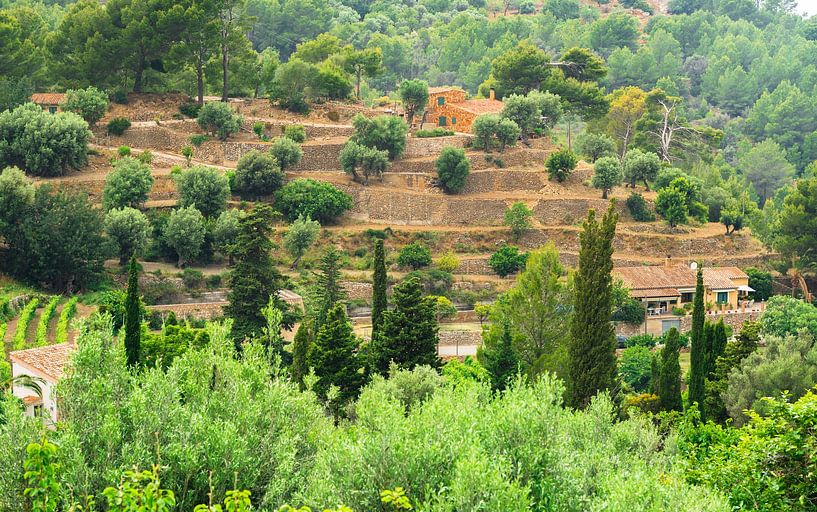 Uitzicht op mediterraan terrasvormig berglandschap van Alex Winter