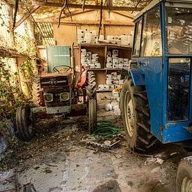 De Rode en Blauwe vrienden van Roy Donker