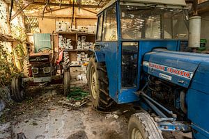 De Rode en Blauwe vrienden