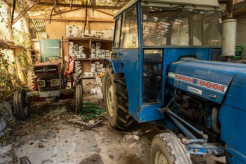 De Rode en Blauwe vrienden