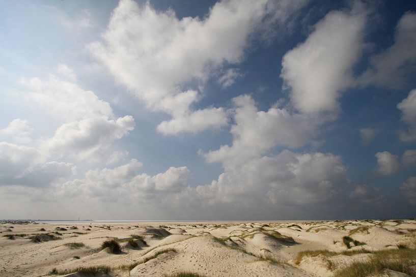 Hors Texel by Martijn Smit