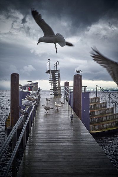 Hamar, Norway by André Bouterse