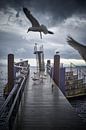 Hamar, Norway by André Bouterse thumbnail