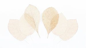 Aquarel achtige bladeren