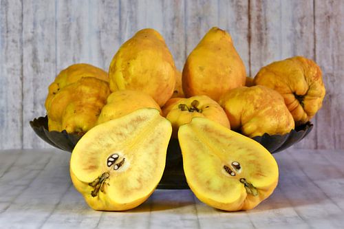 Stillleben mit Quitten