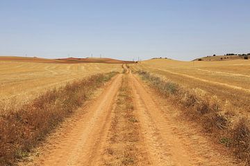 Un chemin sec vers l'horizon