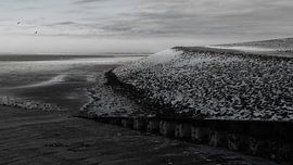 Winter Dike by the Wadden Sea by ReBlick