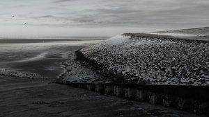 Winterdeich am Wattenmeer