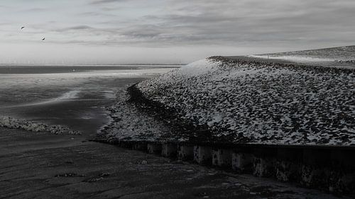 Winterdijk aan de Waddenzee