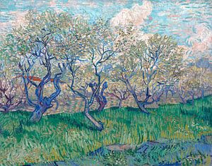 Verger en fleurs, Vincent van Gogh