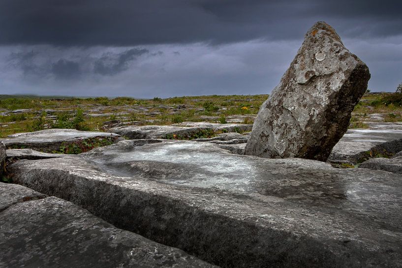 Raue Felsen an einem Regentag in den Burren Irland von Albert Brunsting