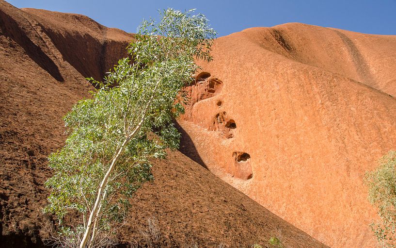 Uluru par Pieter van der Zweep