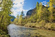 Bij de Ammer, rivier bij Oberammergau van SusaZoom thumbnail