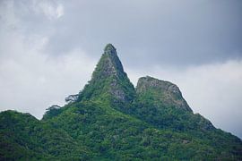 Gros plan sur le troisième pic d'Olomana (Ahiki)