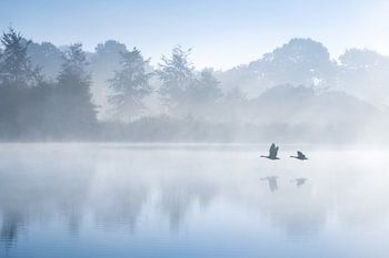 Fly-by - Drentsche Aa