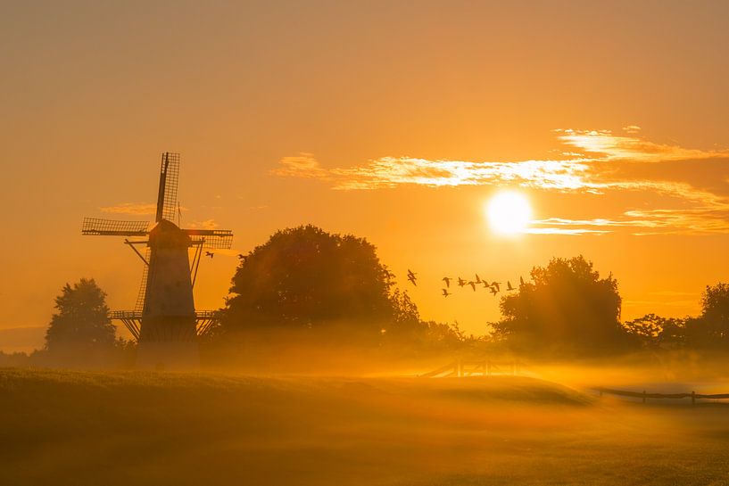 Goodmorning sunshine by Max ter Burg Fotografie