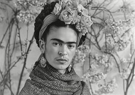 Frida Poster Print Impression d'art sur Niklas Maximilian