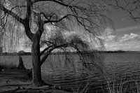 De Alster.
