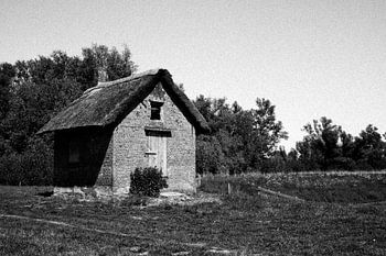 Retour dans le temps