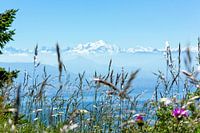 De Mont Blanc