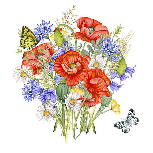 Veldboeket klaprozen