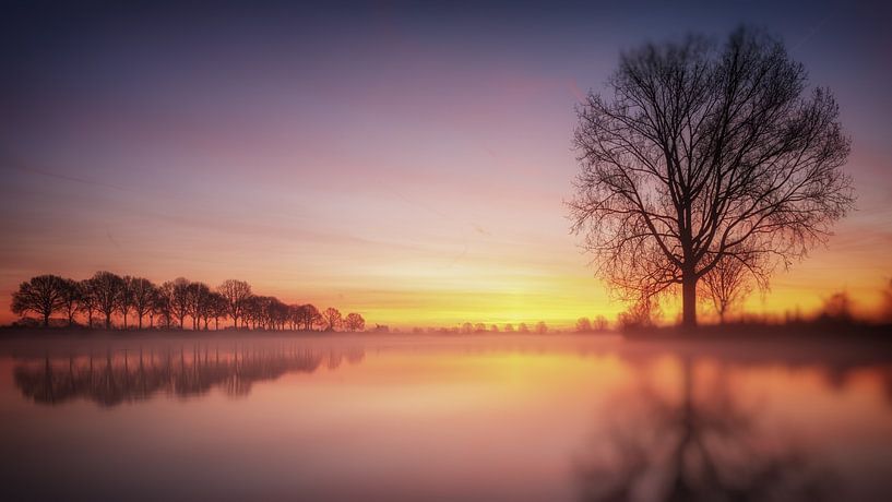 Along the Maas #3 by Lex Schulte