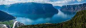 Aurlandsfjorden van Annette Kempers