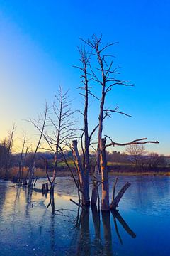 Winterabend am Teich von Bernd Tollkühn