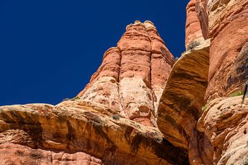 Canyonlands, The Needles District II by Gerry van Roosmalen