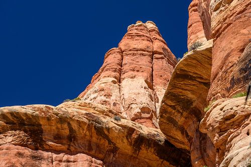 Canyonlands, De Needles District II