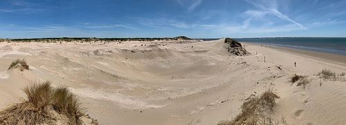 Puur natuur duinlandschap relaxed.