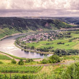 Wolf an der Mosel von Sven Wildschut