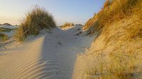 Terschelling, was für eine Insel. von Dirk van Egmond Miniaturansicht