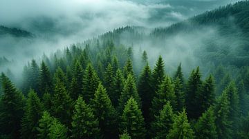 Der Ewige Wald von ByNoukk