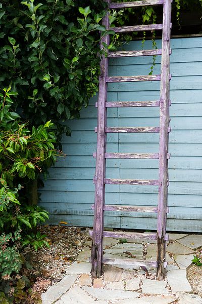 oude ladder in een tuin par ChrisWillemsen