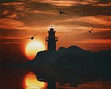 Phare avec un coucher de soleil et une mouette par Jan Keteleer Aperçu