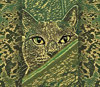 Kat Amera Camouflage abstract