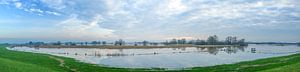 Les hautes eaux dans les plaines inondables de la rivière IJssel sur Sjoerd van der Wal Photographie