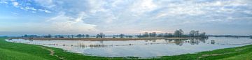 Les hautes eaux dans les plaines inondables de la rivière IJssel sur Sjoerd van der Wal Photographie